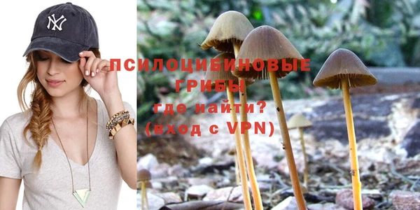 круглые Новозыбков